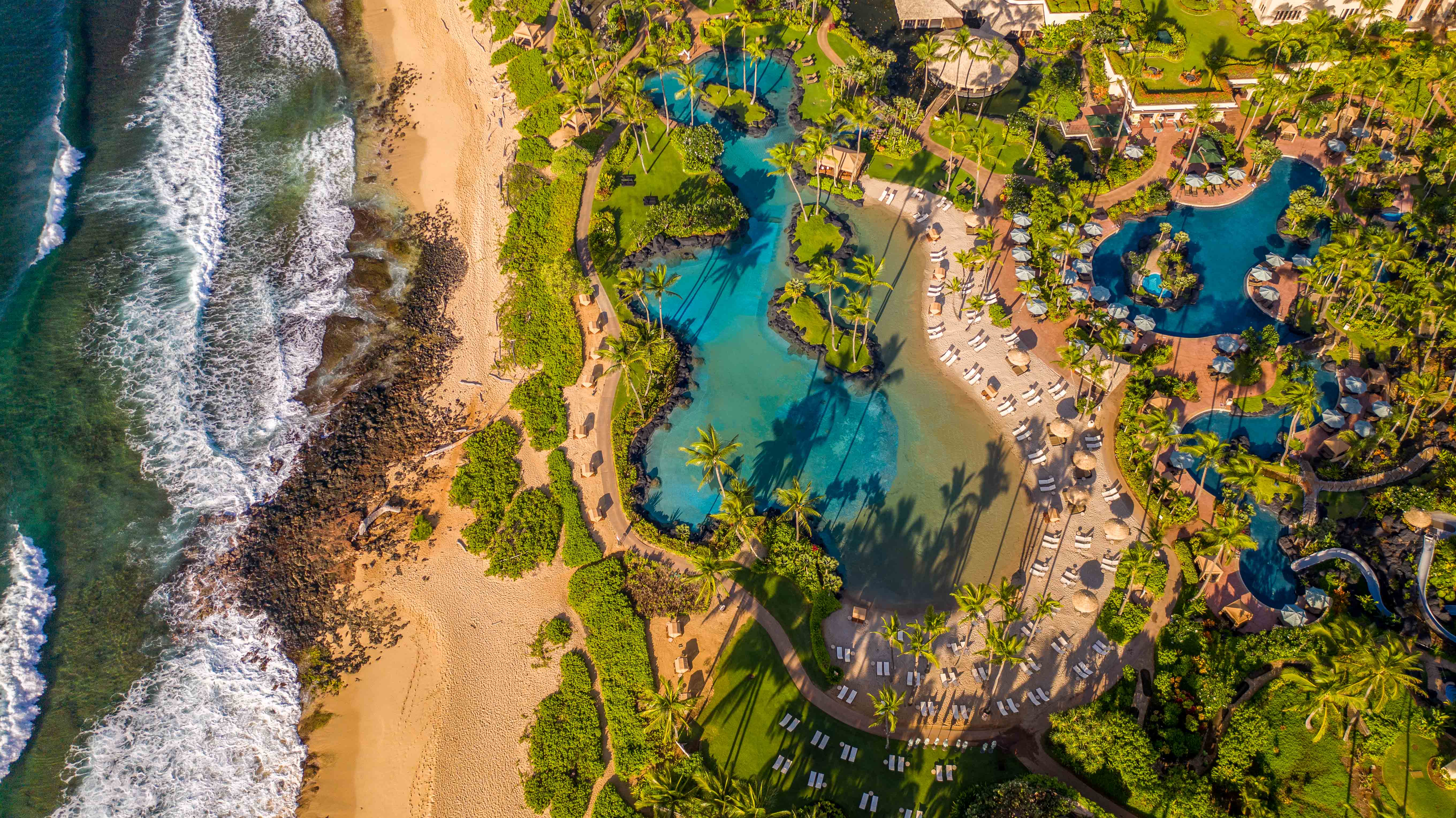 Luxury resort pool and palm trees overlooking the ocean in Hawaii